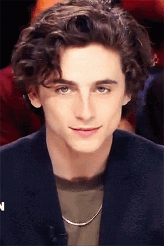 Timothée Chalamet Stare GIF