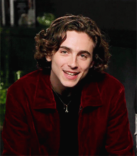 Timothée Chalamet Teeth Smile GIF