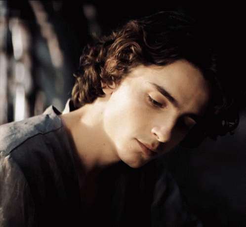 Timothée Chalamet Worried Stare GIF