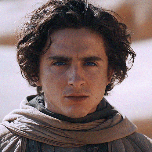 Timothée Chalamet Zooming In GIF