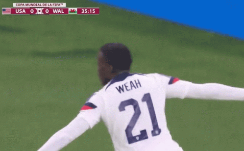 Timothy Weah Knee Slide Usa Soccer GIF