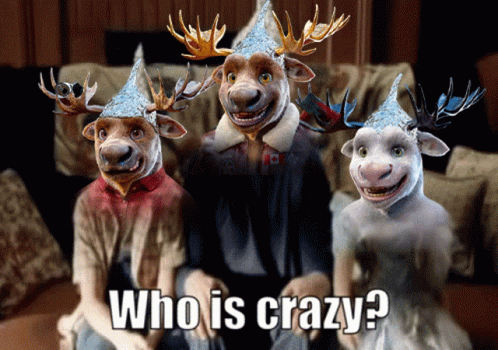 Tin Hat Moose Faces GIF