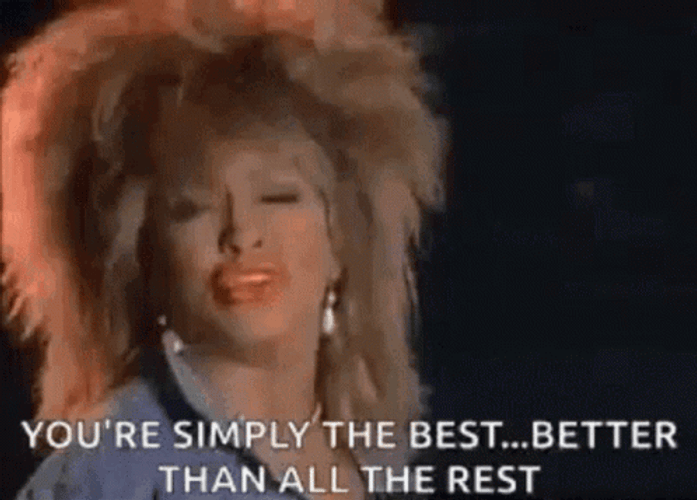 Tina Turner Singing You The Best GIF