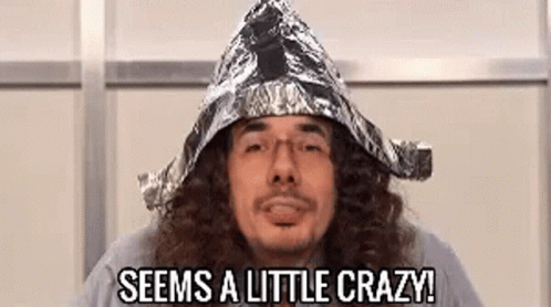 Weird Al Yancovic Tinfoil Hat Little Crazy GIF