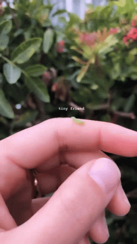 Tiny Worm Crawling On Fingers GIF