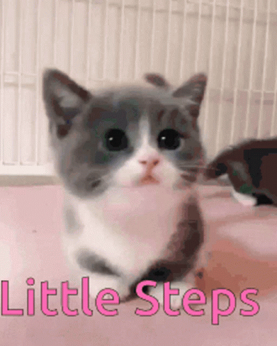 Cute Tiny Step By The Little Kitten GIF
