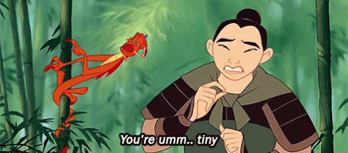 Mulan Called Mushu A Tiny Dragon GIF