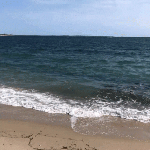 Tiny Blue Wave On The Shore GIF