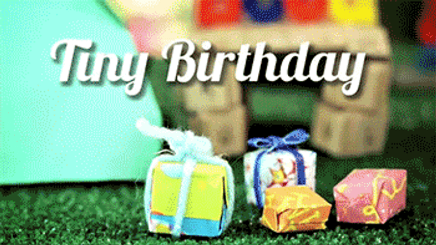 Tiny Hedgehog Birthday Celebration Gifts GIF