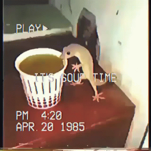 Tiny Lizard Drinking Coffee GIF