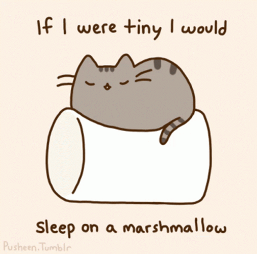 Tiny Pusheen Sleep On The Marshmallow GIF