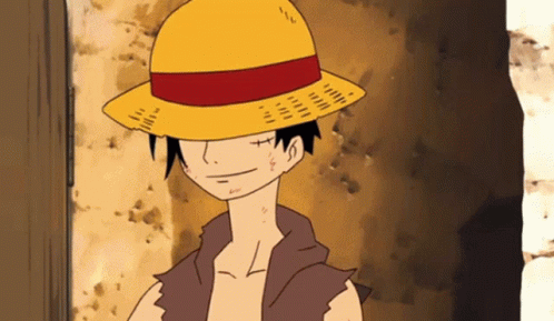 Tip Hat Luffy One Piece GIF