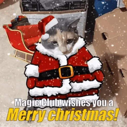 Merry Christmas Meme