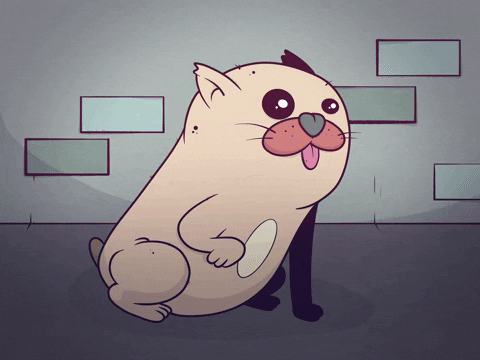 Tired Cat Night Night GIF