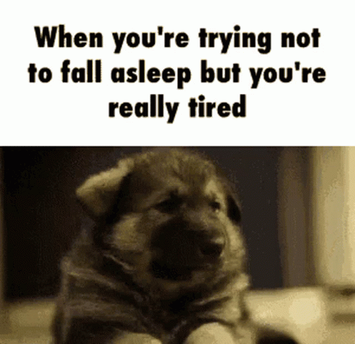 Tired Meme Trying Not To Fall Asleep GIF