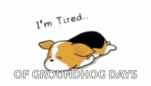 Tired Of Groundhog Day Sleeping Puppy GIF