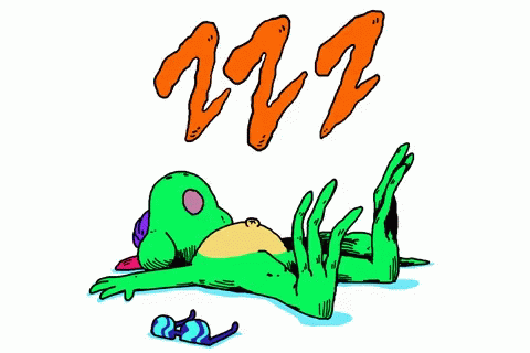 Tired Tuesday Frog Seeping GIF