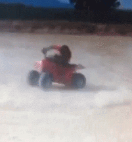 Titi Roulade Titi Quad GIF
