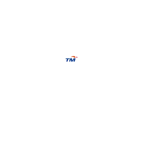 TM Logo with #moreforyou