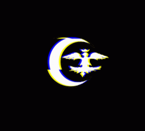 Tmi Anka GIF