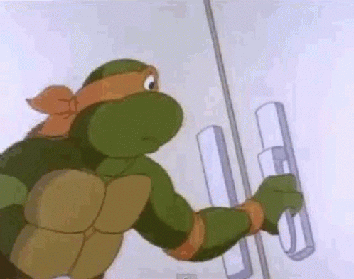 Tmnt Ninja Turtle Michel Angelo Shock GIF