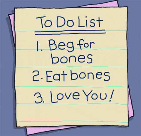 To Do List Of A Dog Checklist GIF