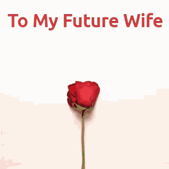 To My Future Wife Heart Roses Petals GIF