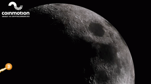 To The Moon Bitcoin Logo GIF