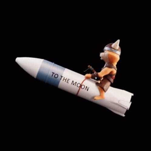 To The Moon Fox Riding A Rocket GIF