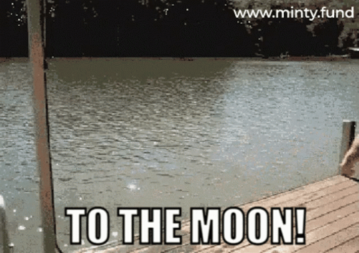 To The Moon Man Rocket GIF