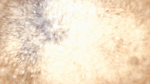 Old Man Want To Cheers To You GIF