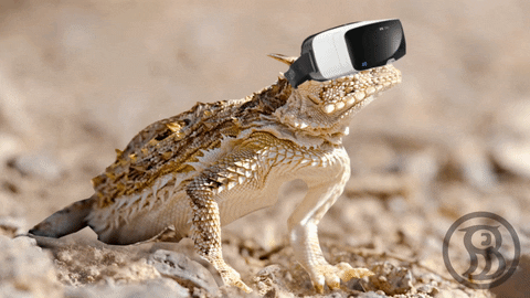 Toad Nodding With Vr GIF
