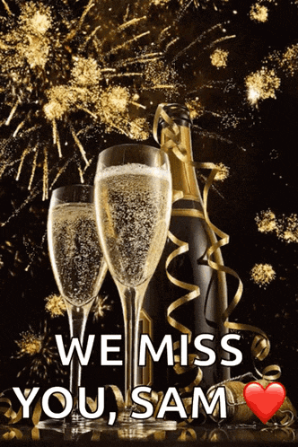 Toast Champagne Glasses Gif GIF