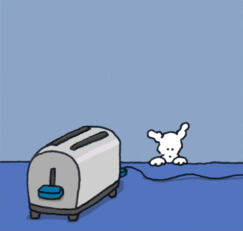 Toast Pop With Chippy The Dog GIF