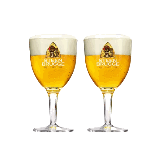Toasting Steen Brugge Beer Glasses
