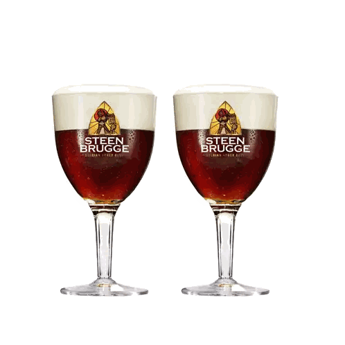 Toasting Steen Brugge Beer Glasses