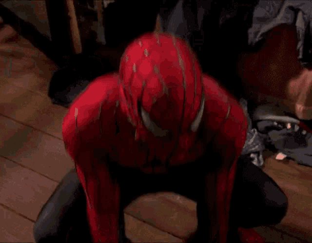 Tobey Maguire Spiderman Gif GIF