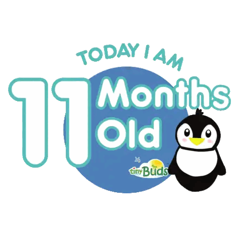 Today I Am 11 Months Old Sign Next to Penguin