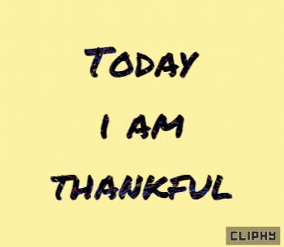 Today I Am Thankful GIF