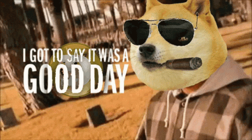Today Was A Good Day Shiba Inu GIF