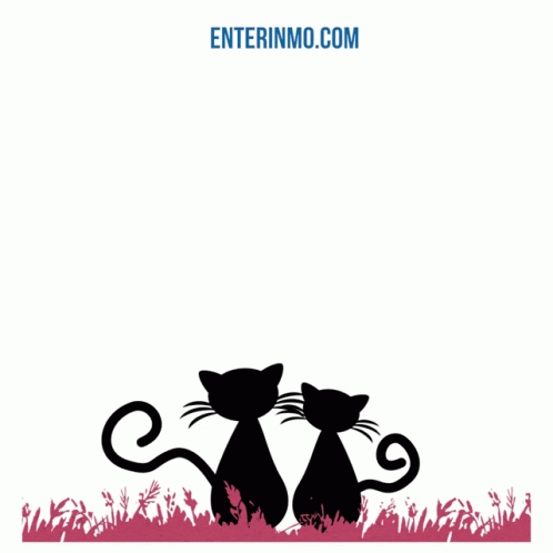 Today Wish Happily Ever After Poster