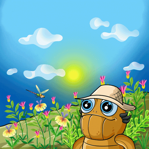 Todays Motivation Blessed Good Morning Wednesday GIF