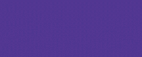 Todays The Day Flashing Lavender Design GIF