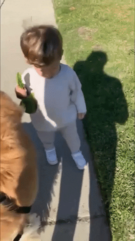 Toddler Holding Plastic Bag With Dog Poop GIF