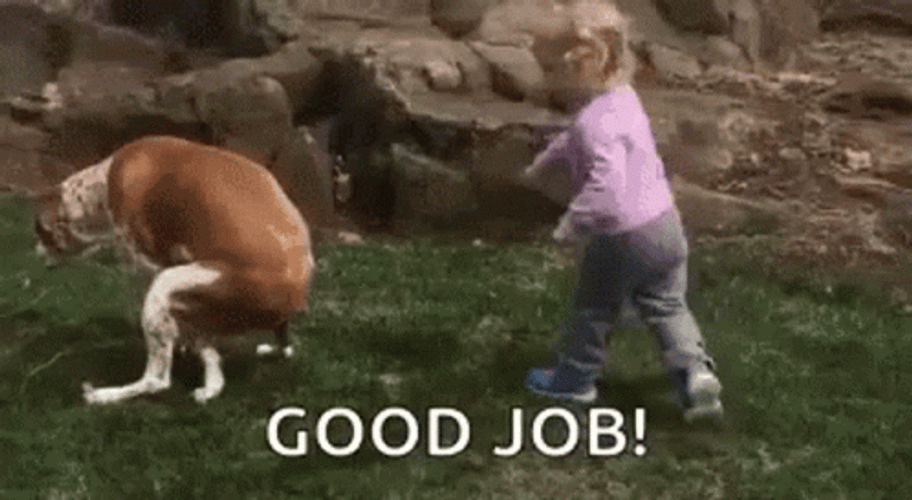 Toddler Pat On The Back On Dog Pooping GIF