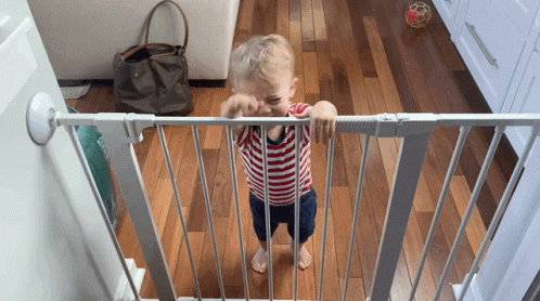 Toddler Standing Behind Gate GIF