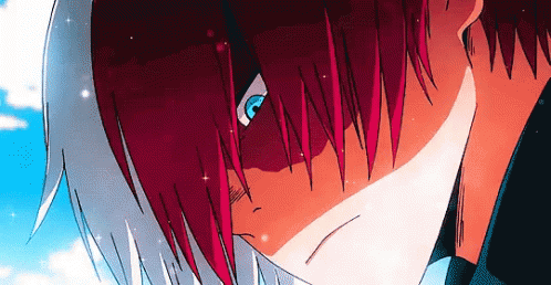 Todoroki Shoto Head Low GIF