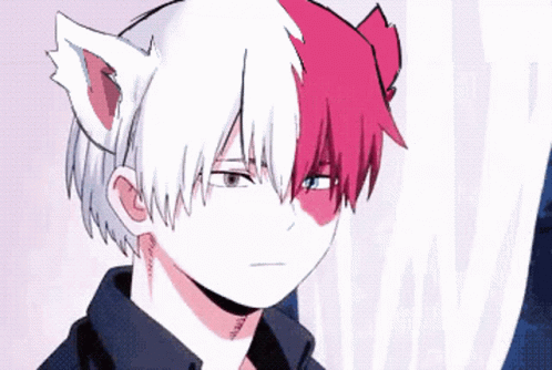 Todoroki Shoto Shy Cat GIF