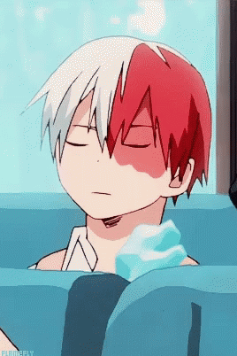 Todoroki Shoto Sleeping In Bus GIF
