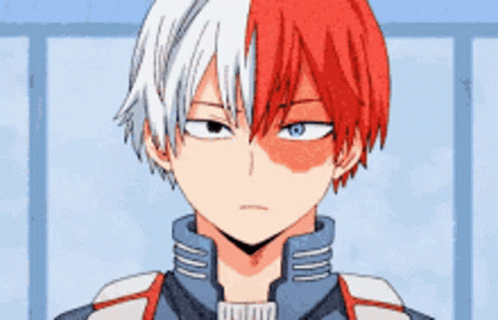Todoroki Shoto Smile GIF